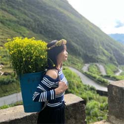 Ảnh đại diện